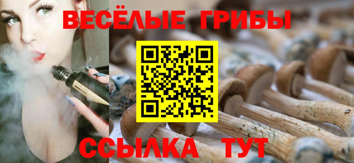 Иркутск  Галлюциногенные грибы мухоморы  Псилоцибиновые грибы Magic Shrooms  Вход с VPN 